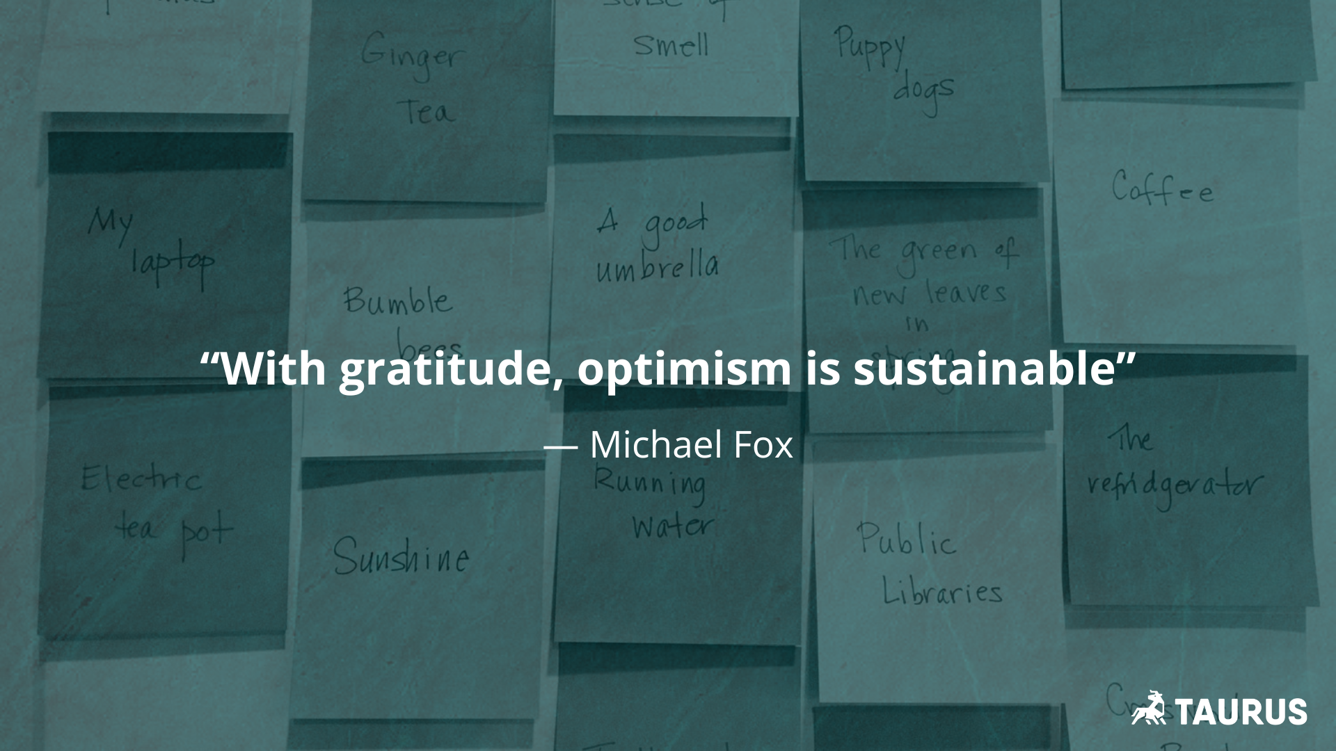 Read more about the article Gratitude