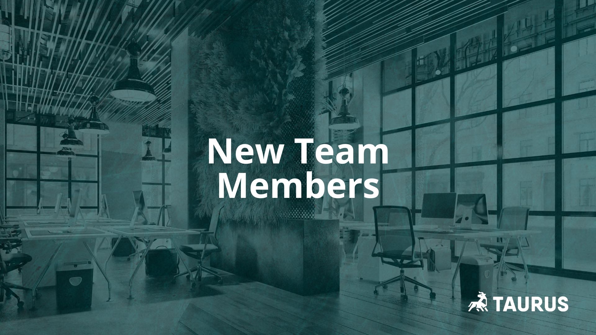 Read more about the article New team members