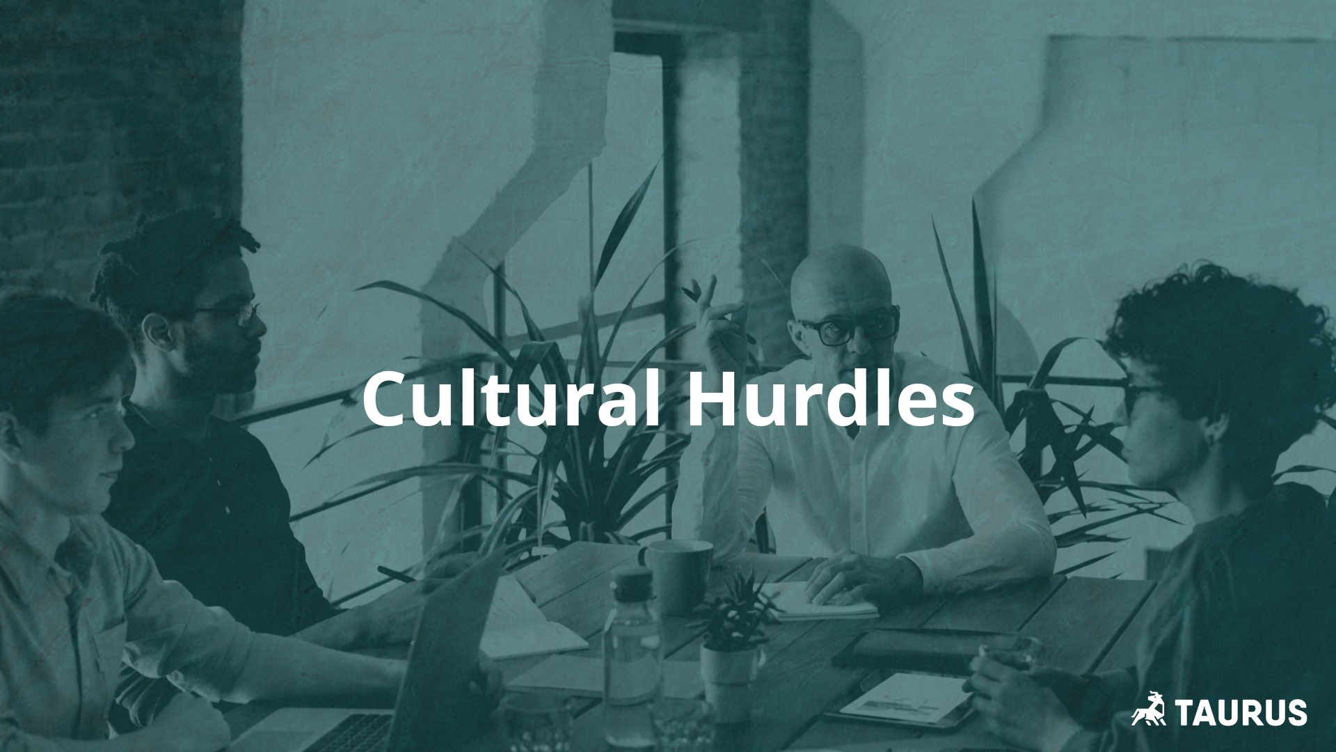 Read more about the article 3 Big Cultural Hurdles